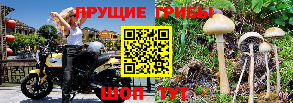 Псилоцибиновые грибы мухоморы Кинель